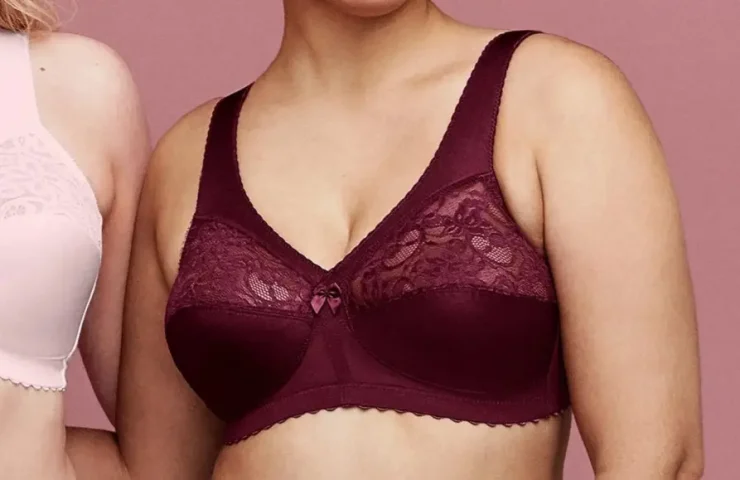 Best Bra for Sagging Breasts Without Wire