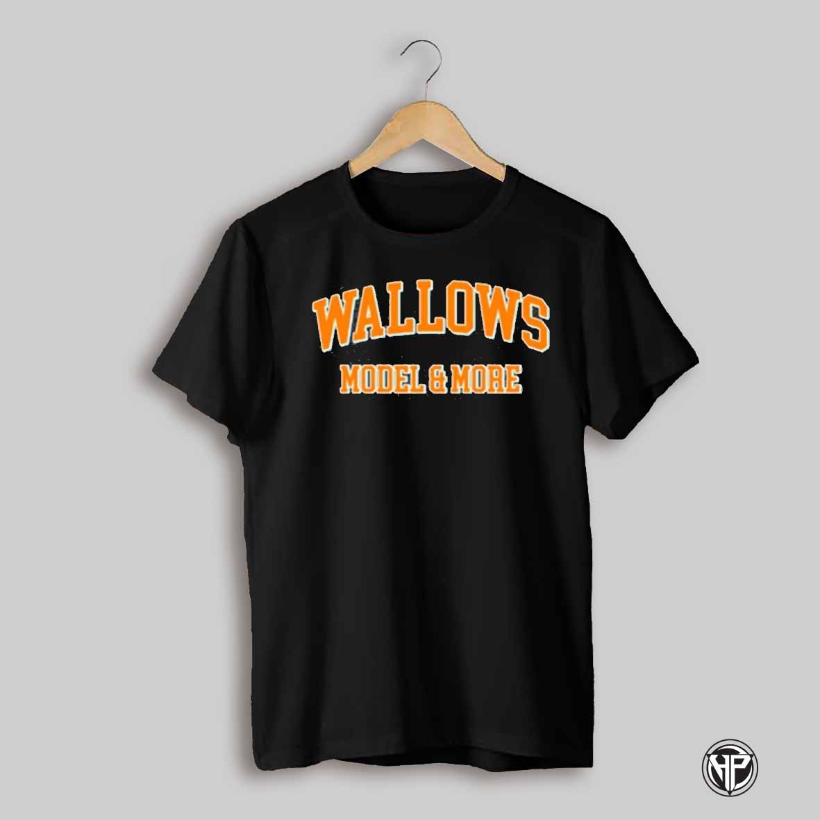 Wallows Model More T Shirt