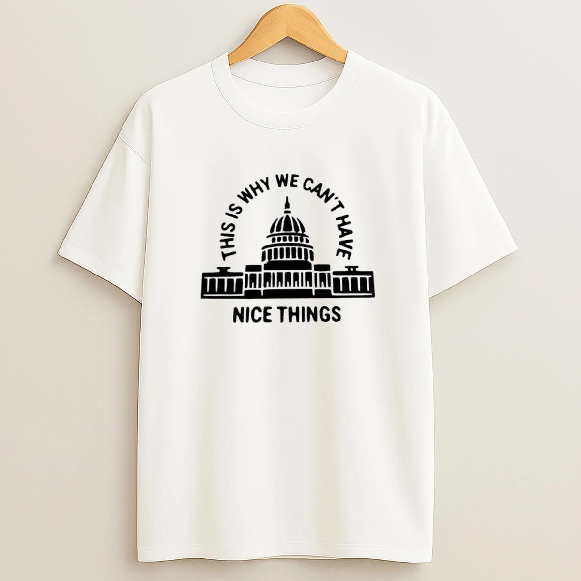 Have This Is Why We Cant Nice Things Shirts