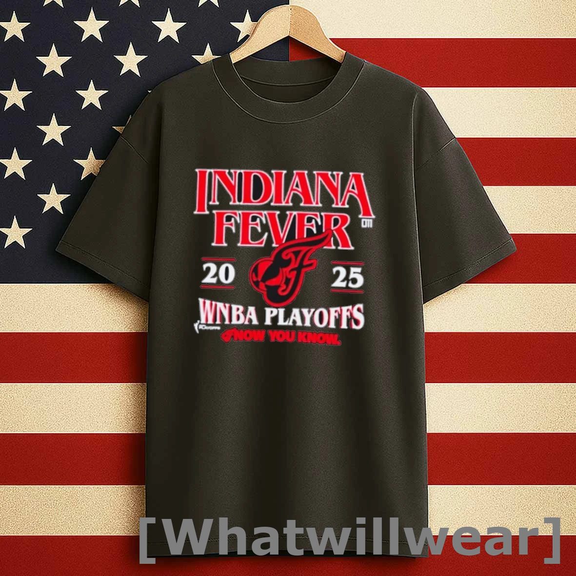 Indiana Fever 2025 Wnba Playoffs Now You Know Shirts