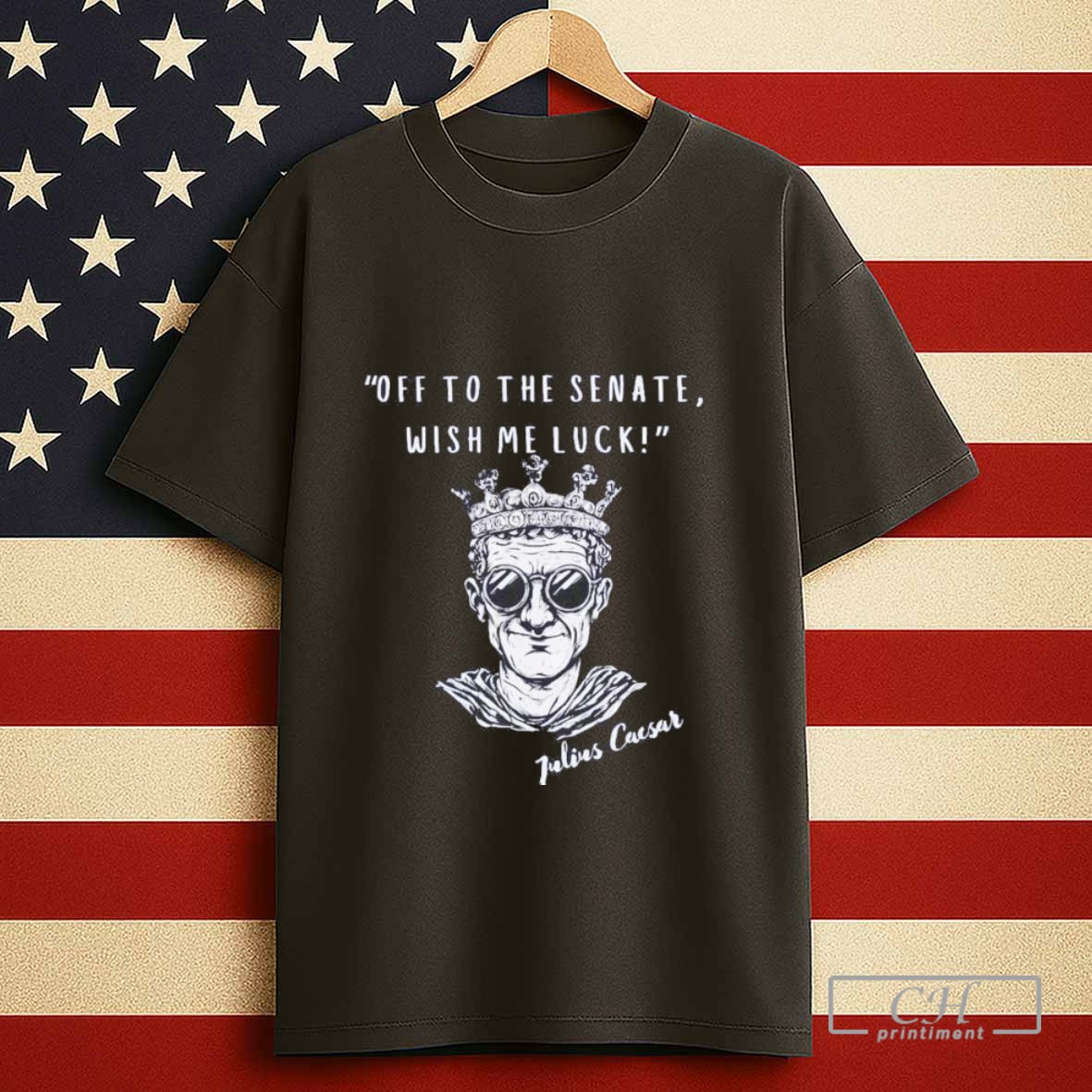 Julius Caesar Off To The Senate Wish Me Luck Tshirt Sweater
