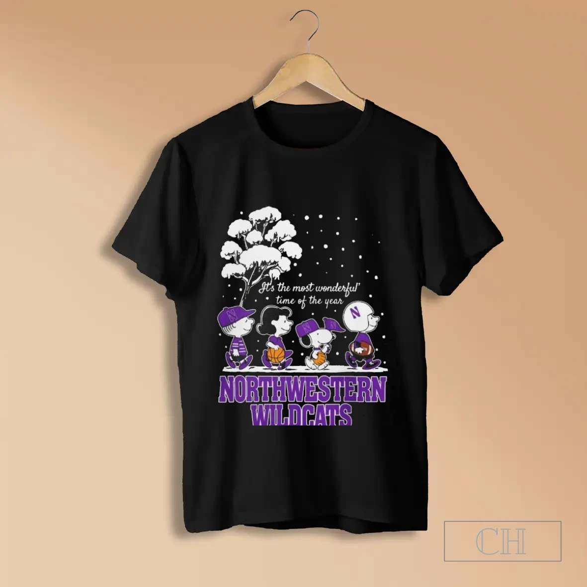 Northwestern Wildcats X The Peanuts Winter Its The Most Wonderful Time Of The Year 2025 T Shirts