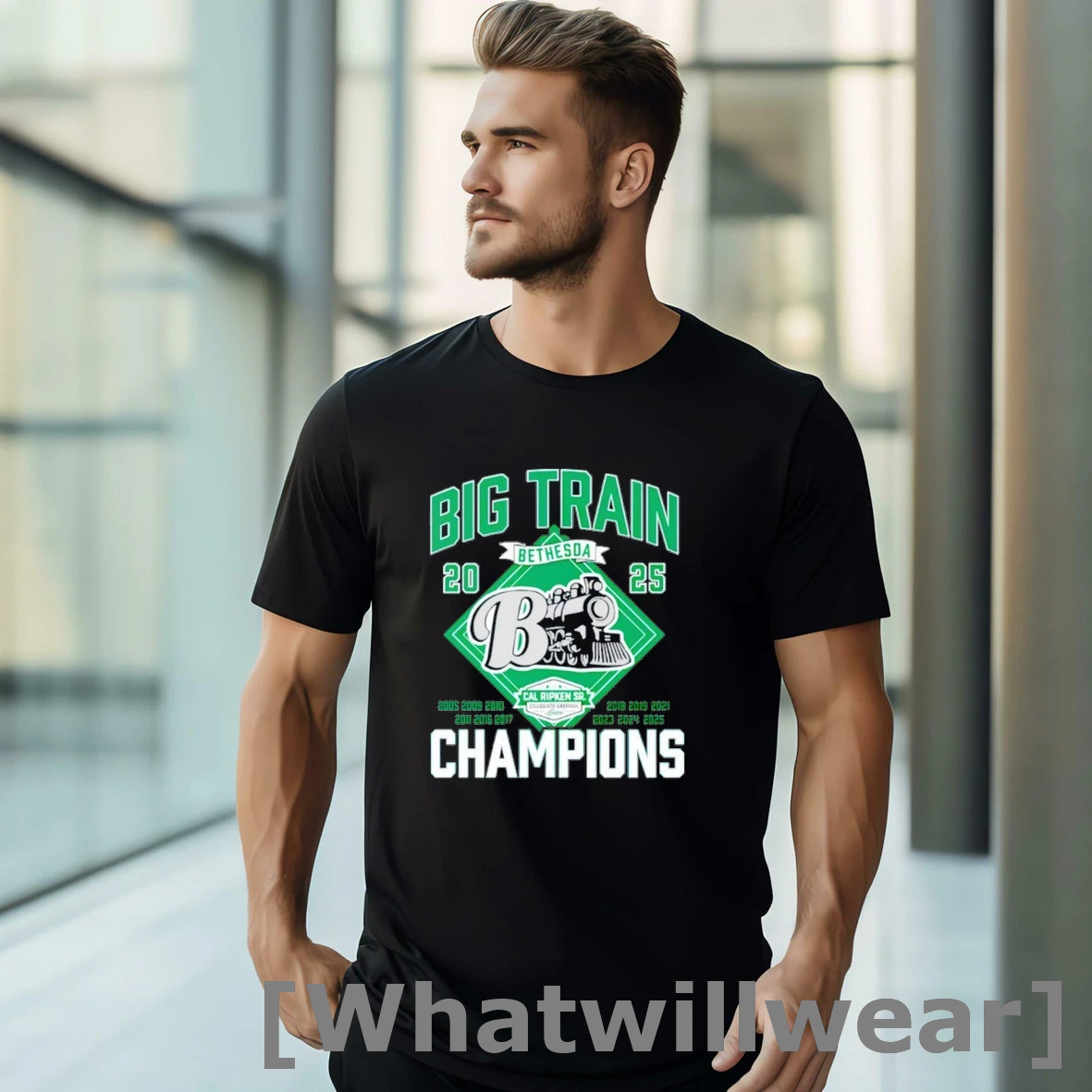 Official Big Train Champions 2025 Tshirts Sweater
