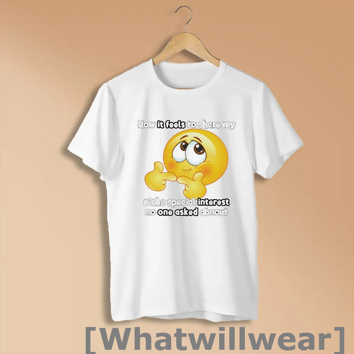 Official How It Feels To Share My Niche Special Interest No One Asked Abnout Shirts