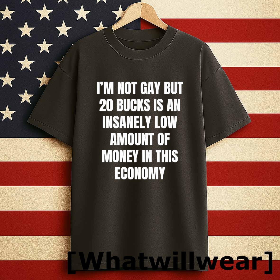 Official Im Not Gay But 20 Bucks Is An Insanely Low Amount Of Money In This Economy Tshirts Sweater