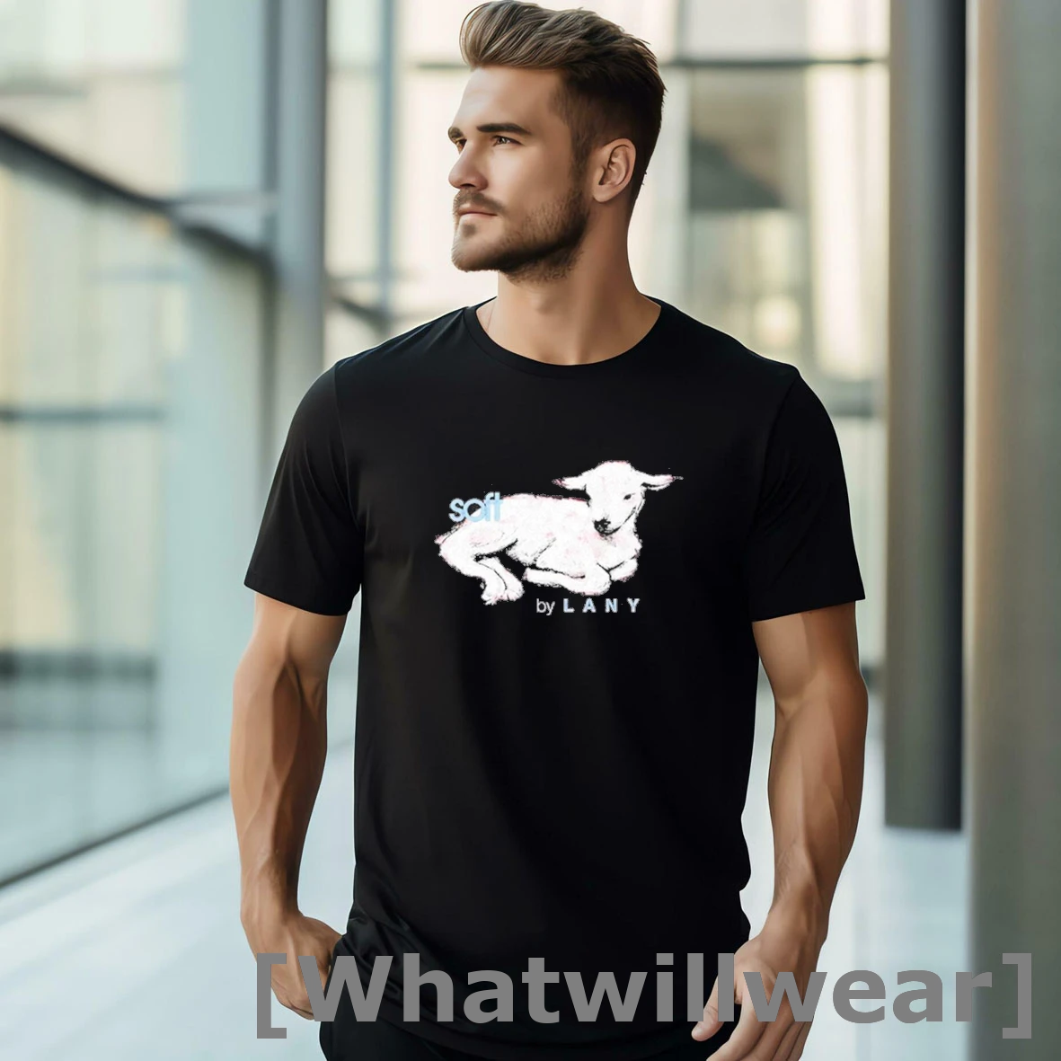 Official Lany Soft 2025 Shirts