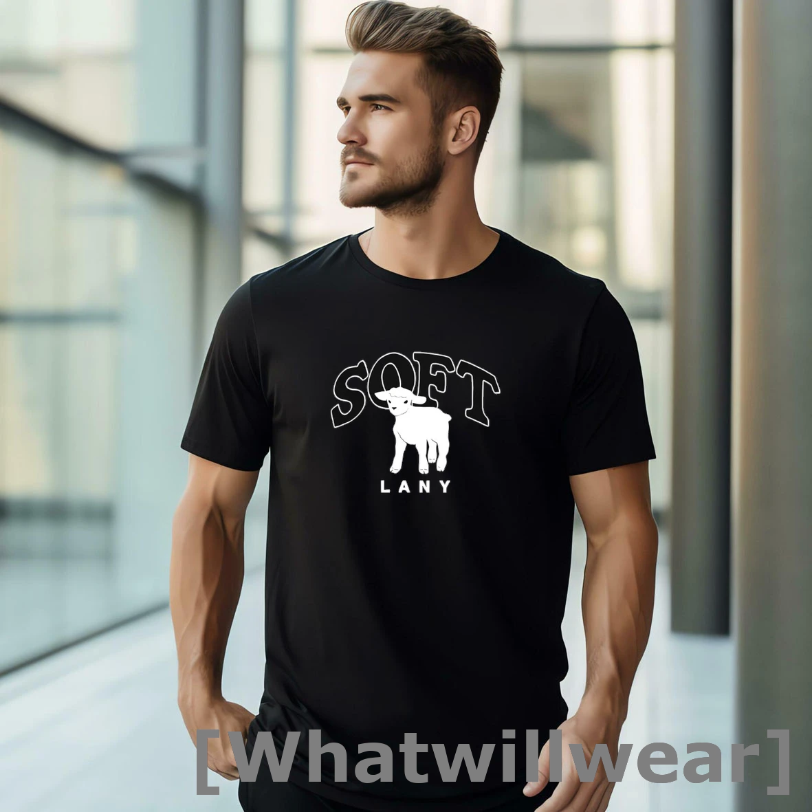 Official Lany Soft Lamb Tshirts Sweater