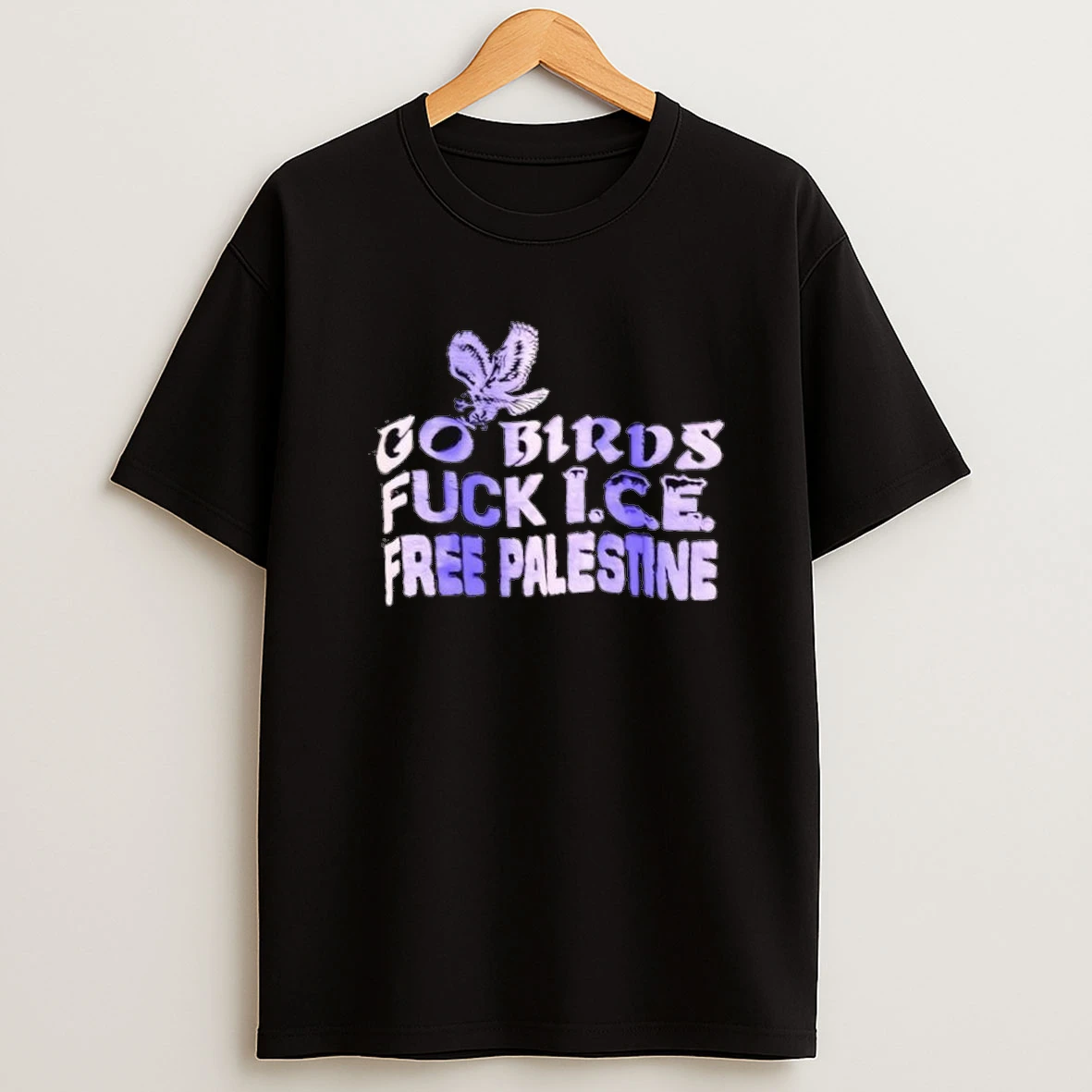 Philadelphia Eagles Go Birds Fuck Ice Free Palestine Shirts