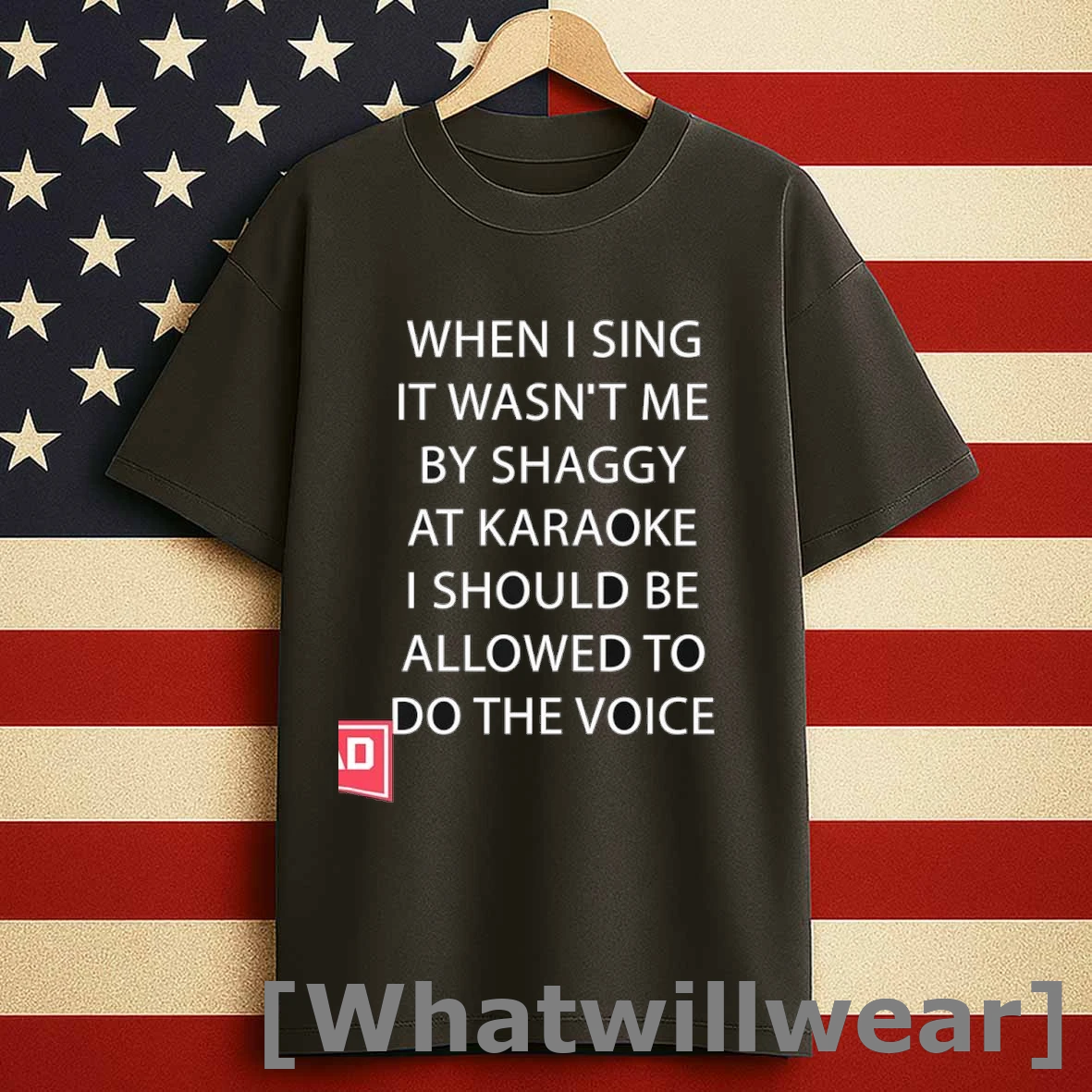 When I Sing It Wasnt Me By Shaggy At Karoake I Should Be Allowed To Do The Voice Shirts