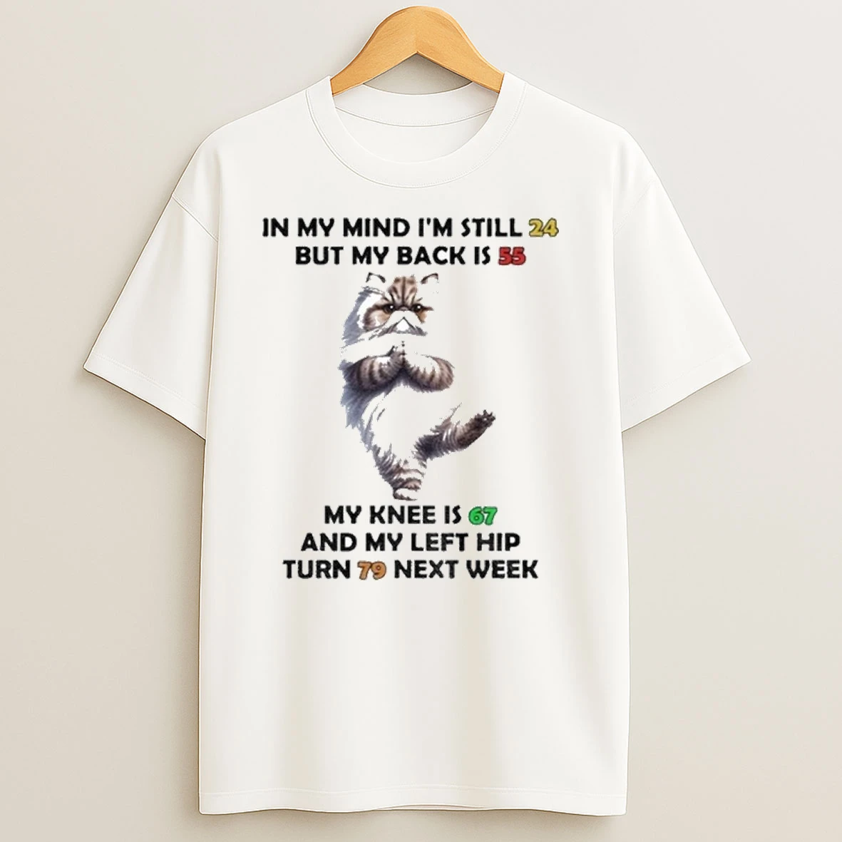 Cat In My Mind Im Still 24 But My Back Is 55 My Knee Is 67 And My Left Hip Turn 79 Next Week Shirts