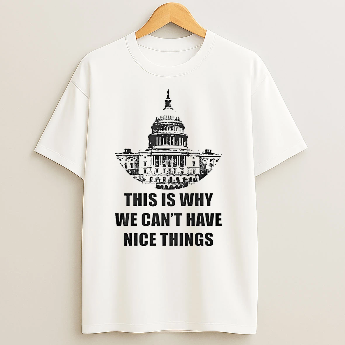 This Is Why We Cant Have Nice Things Anti Government Classic Shirts