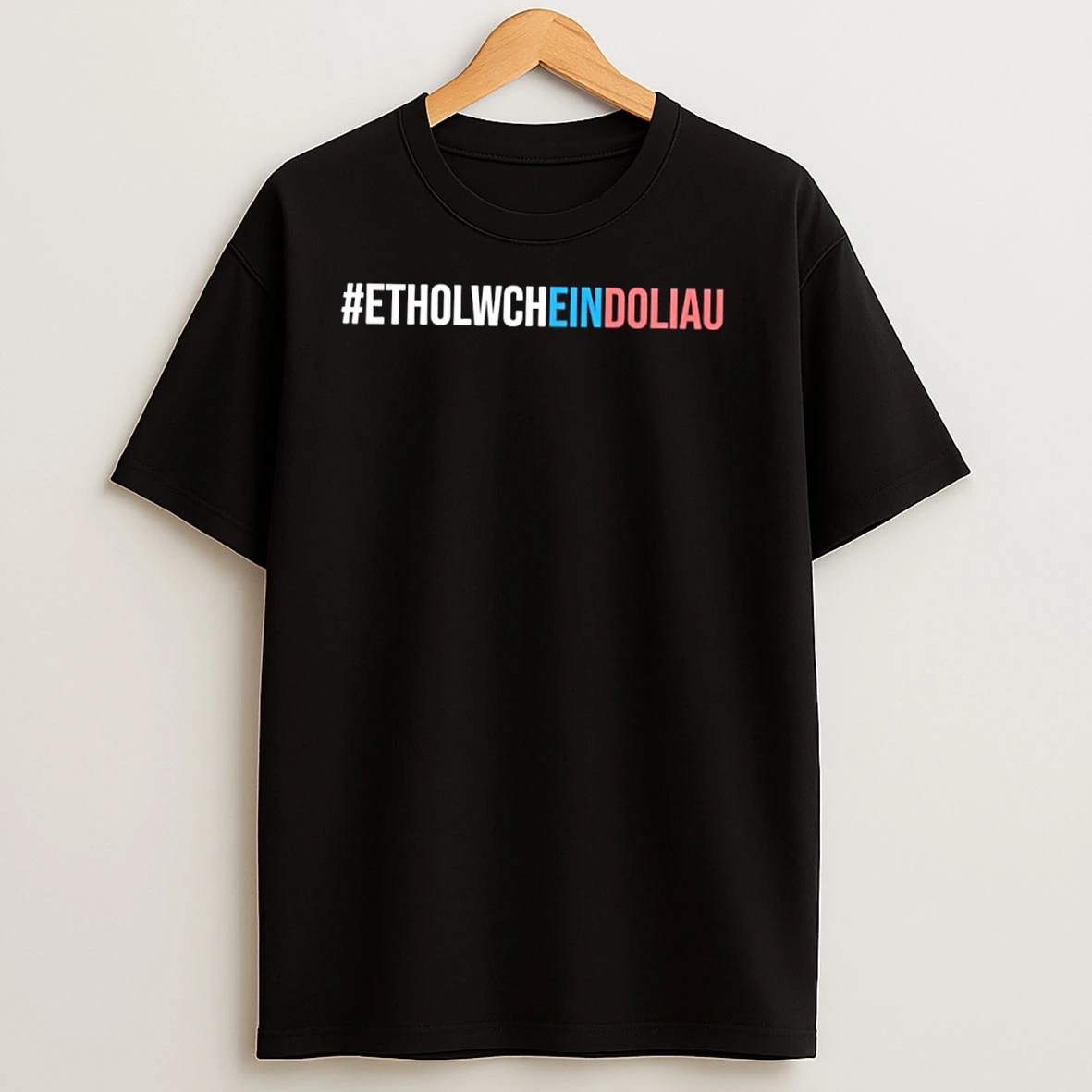 Etholwcheindoliau Pride Flag T Shirts