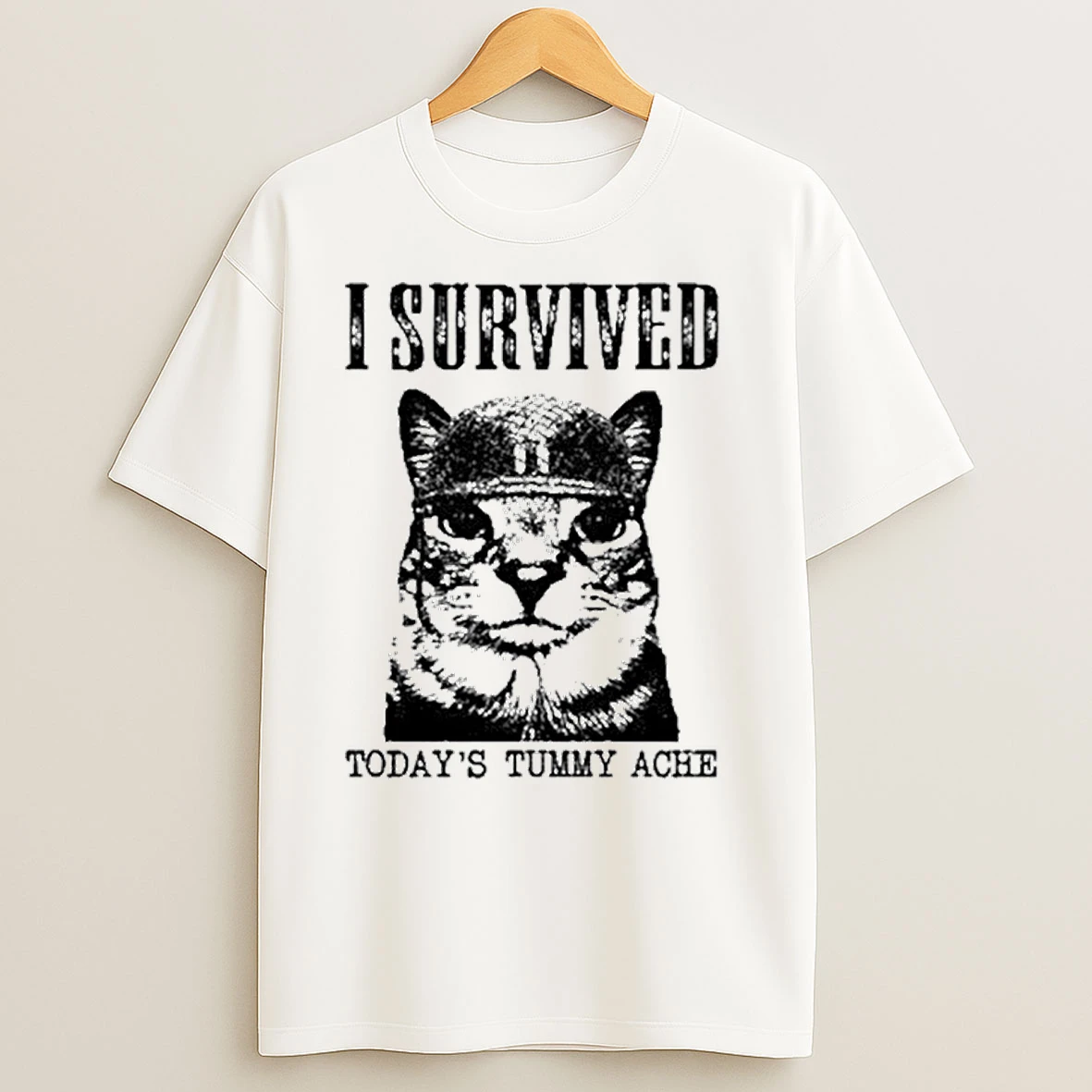 I Survived Todays Tummy Ache Cats T Shirts