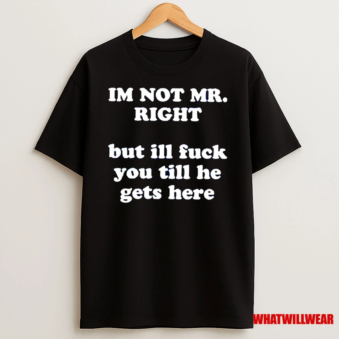 Im Not Mr Right But Ill Fuck You Till He Gets Here Ornaments Shirts