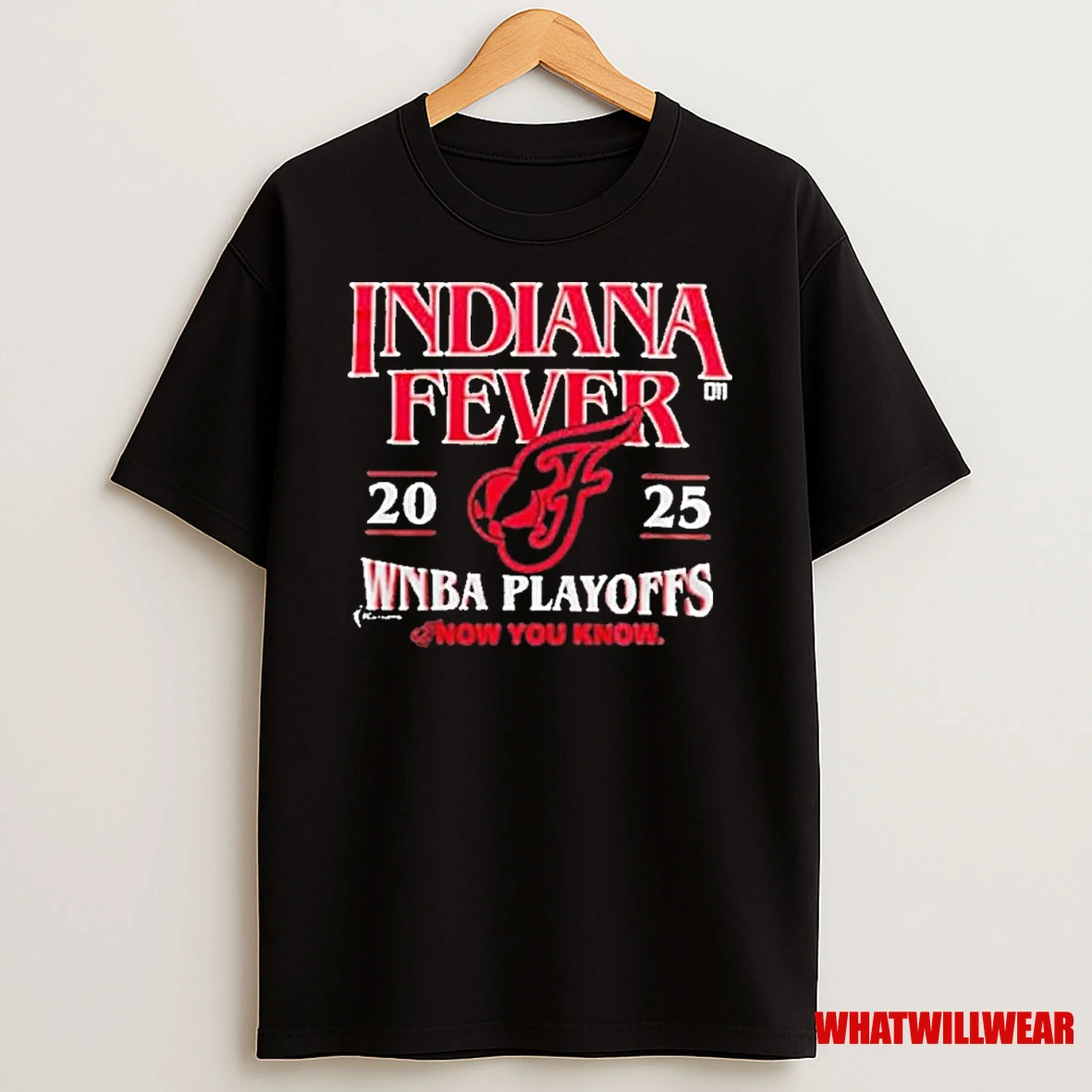 Indiana Fever 2025 Playoffs Now You Know Shirts