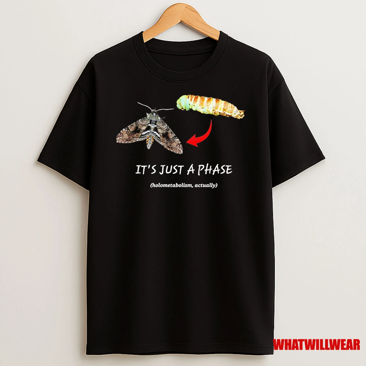 Its Just A Phase Holometabolism Actually Shirts