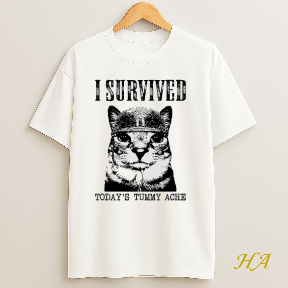 Official Cat I Survived Todays Tummy Ache Survivor T Shirt