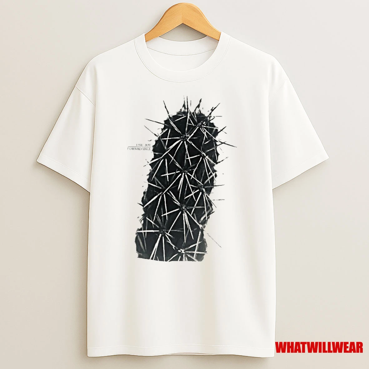 The Joy Formidable Infinity Cholla Shirts
