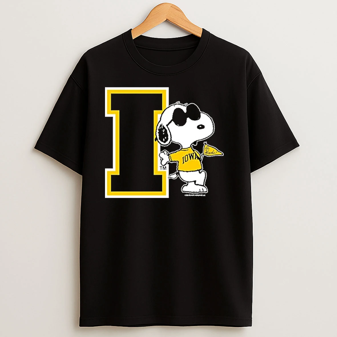 University Of Iowa Hawkeyes Joe Cool T Shirts