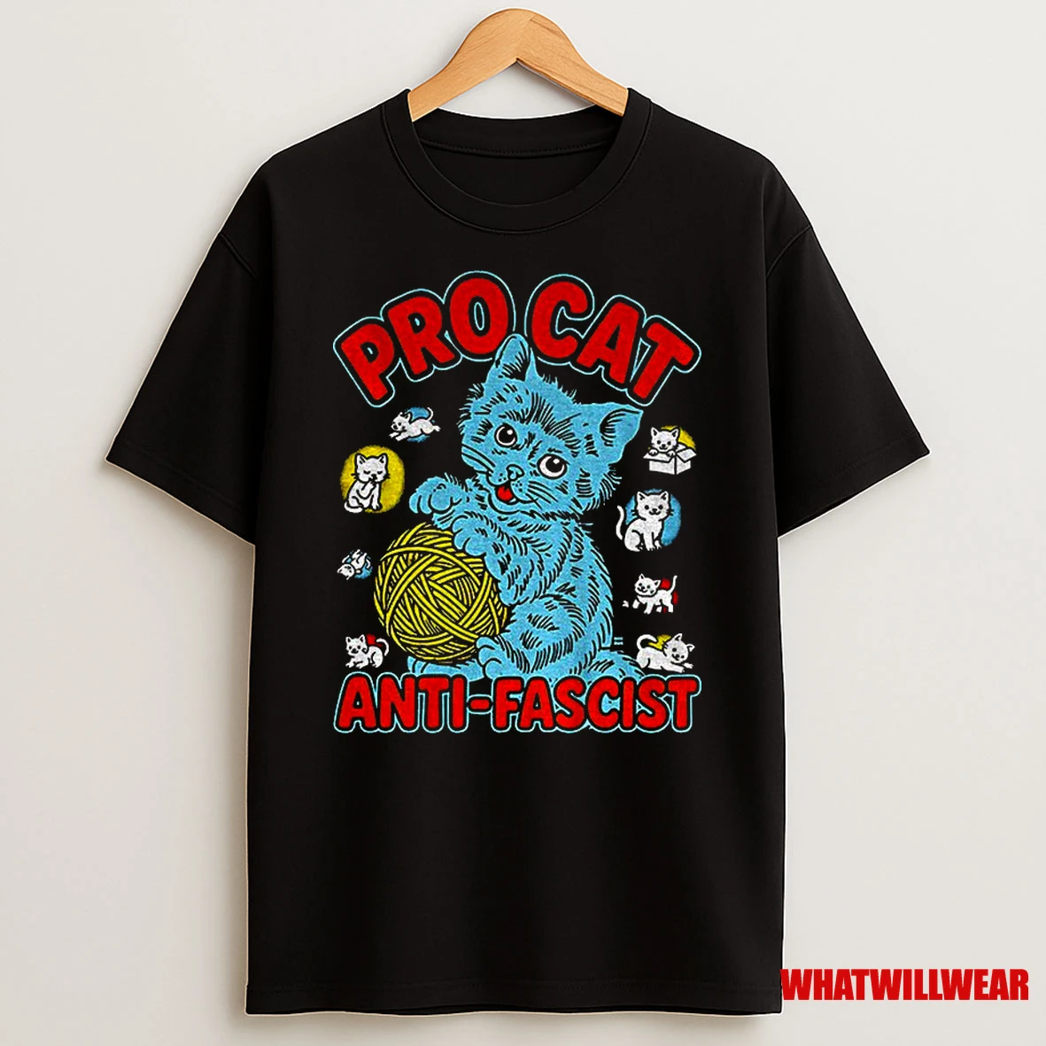 Funny Cat Meme Pro Cat Anti Fascist Classic Shirts