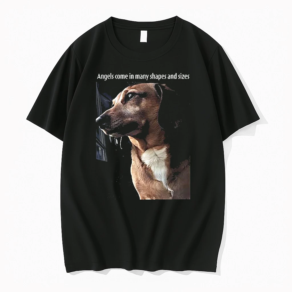 Angels Come In Many Shapes And Sizes Shirts