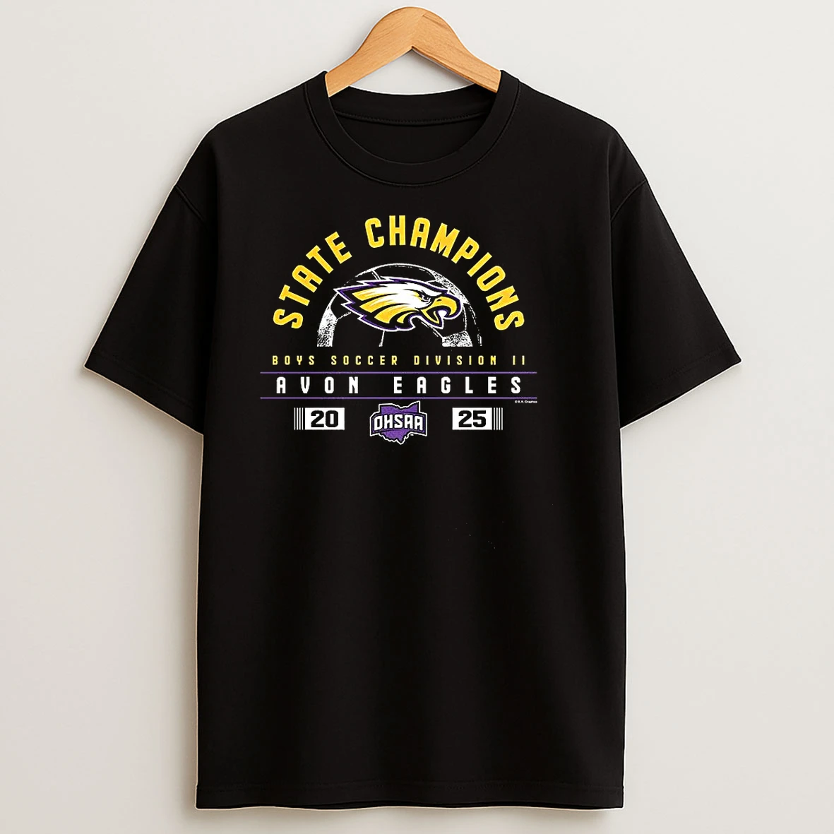 Avon Eagles 2025 Ohsaa Boys Soccer Division 2 State Champions T Shirts