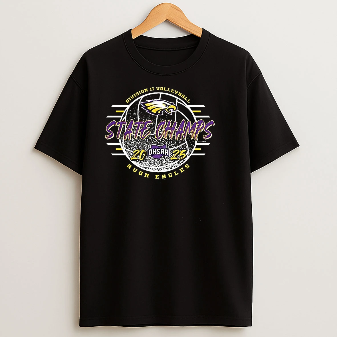 Avon Eagles 2025 Ohsaa Volleyball Division 2 State Champions T Shirts