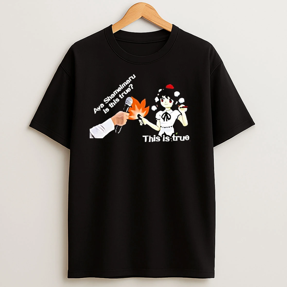 Aya Shameimaru Is This True This Is True T Shirts