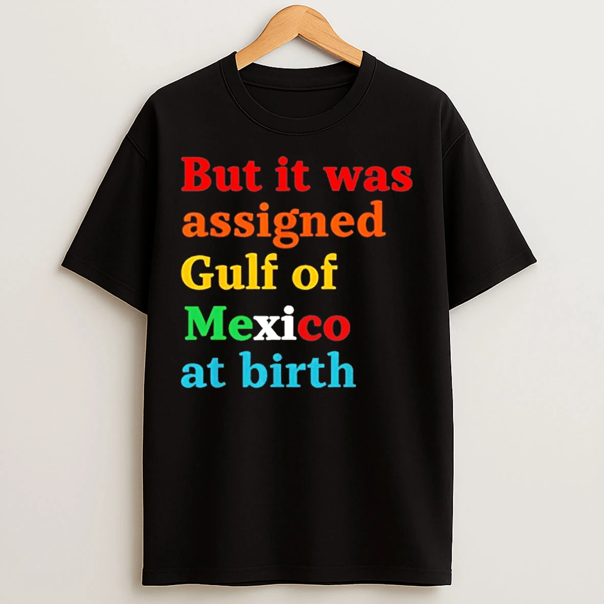 But It Was Assigned Gulf Of Mexico At Birth T Shirts