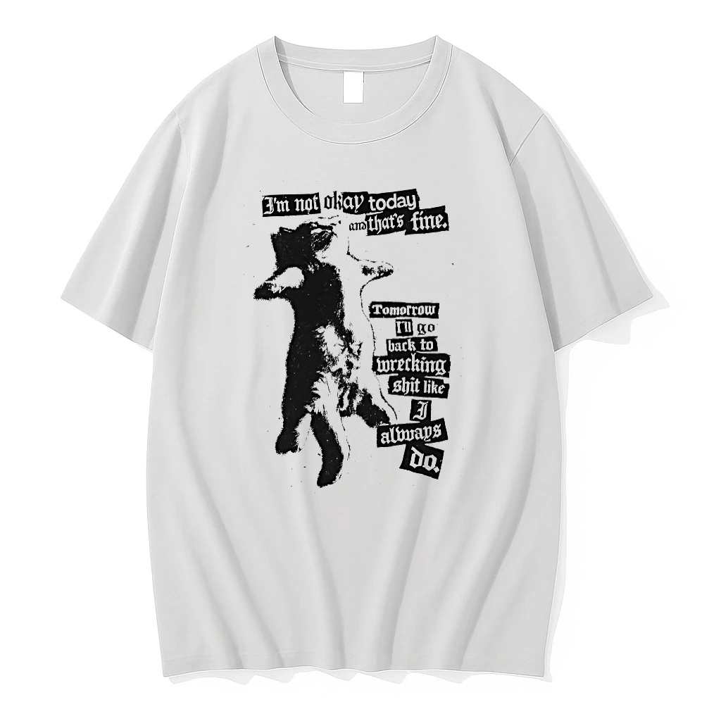 Cat Im Not Okay Today And Thats Fine Tomorrow Shirts