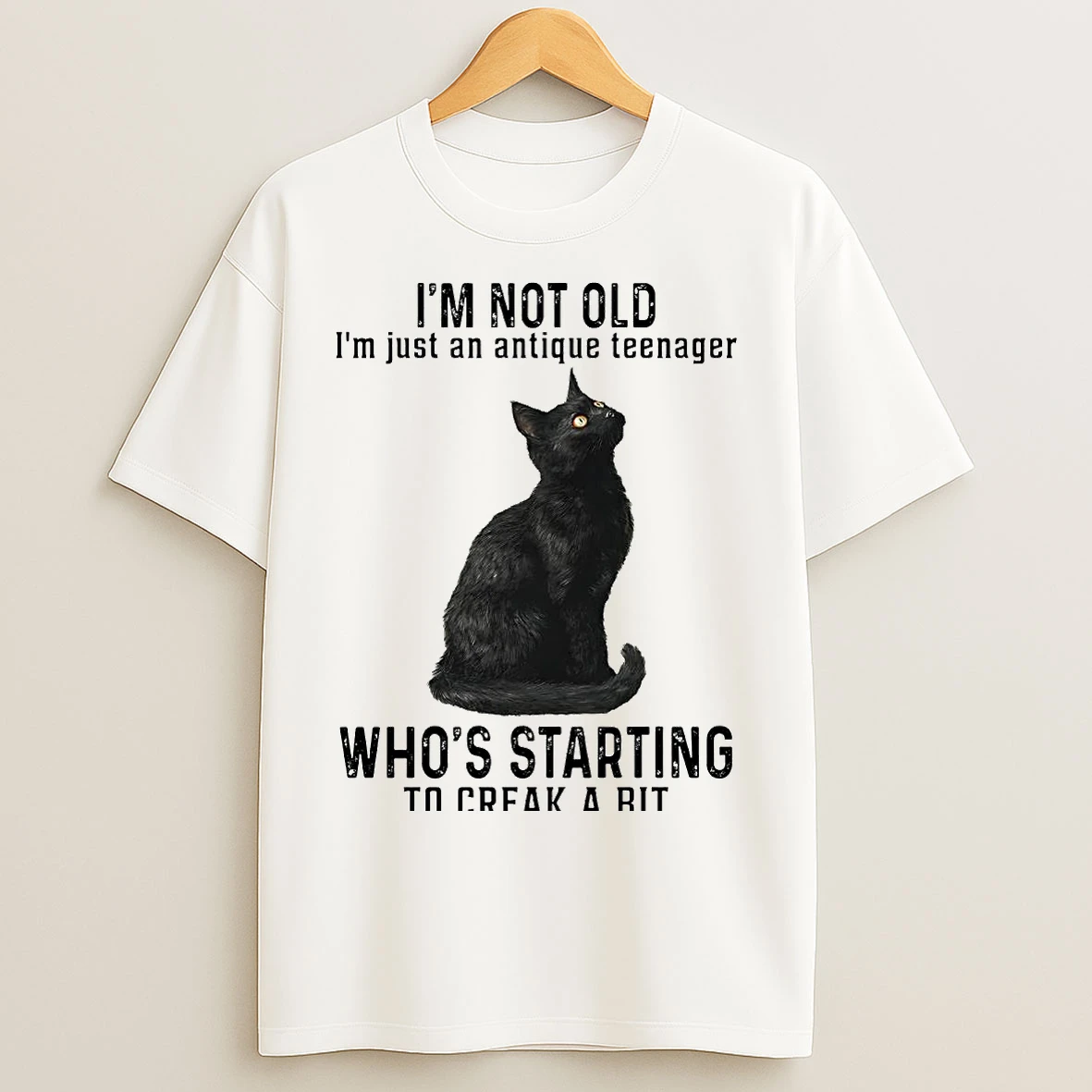Cat Im Not Old Im Just An Antique Teenager Whos Starting T Shirts