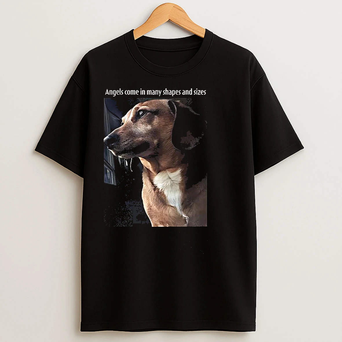 Classic Angels Come In Many Shapes And Sizes T Shirts