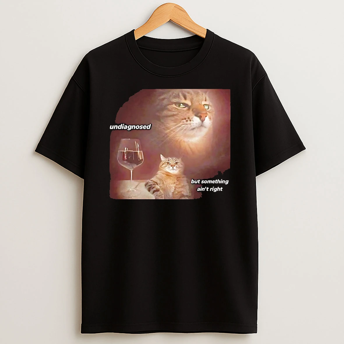 Classic Cat Undiagnosed But Something Aint Right T Shirts