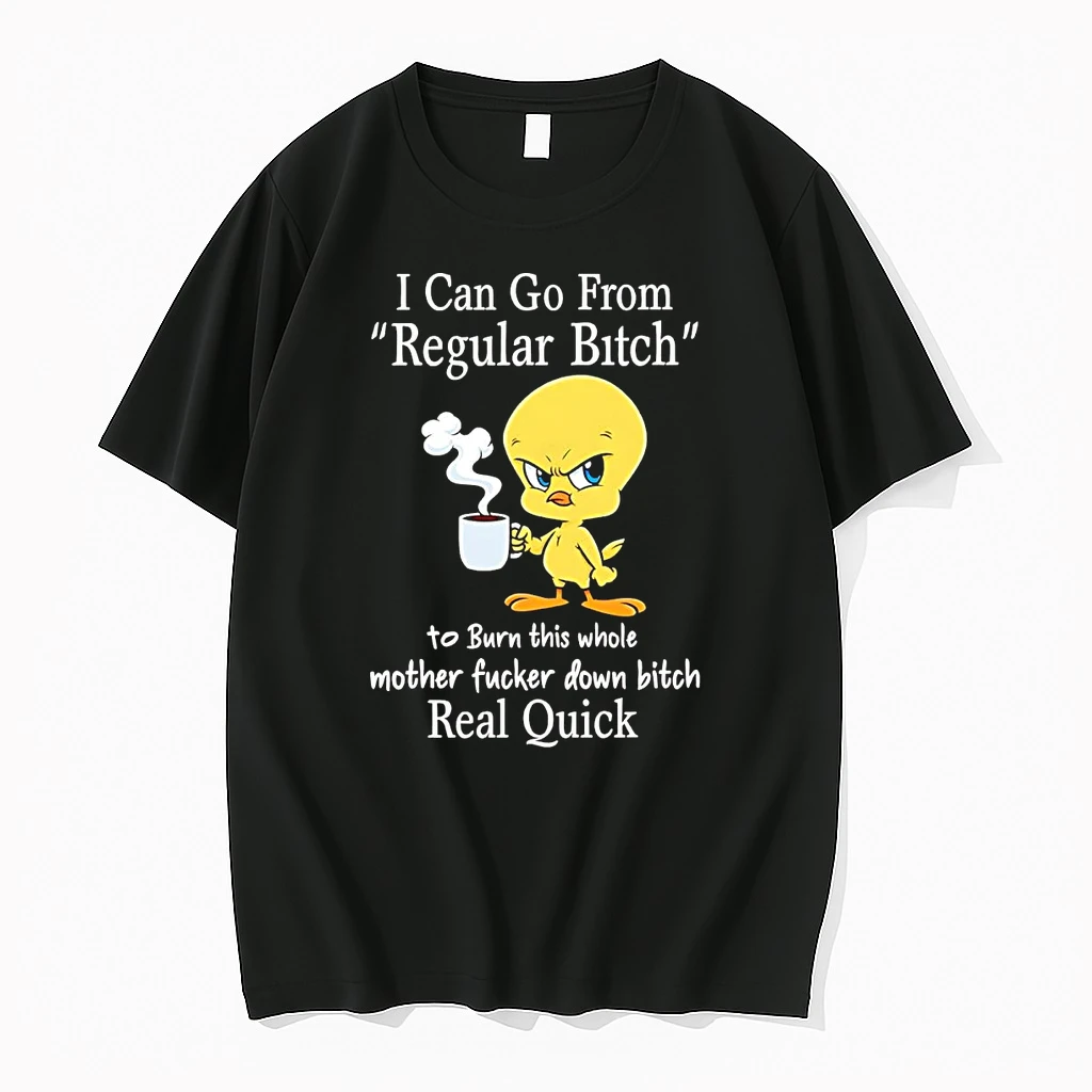 Classic Chick I Can Go From Regular Bitch To Burn This Whole T Shirts