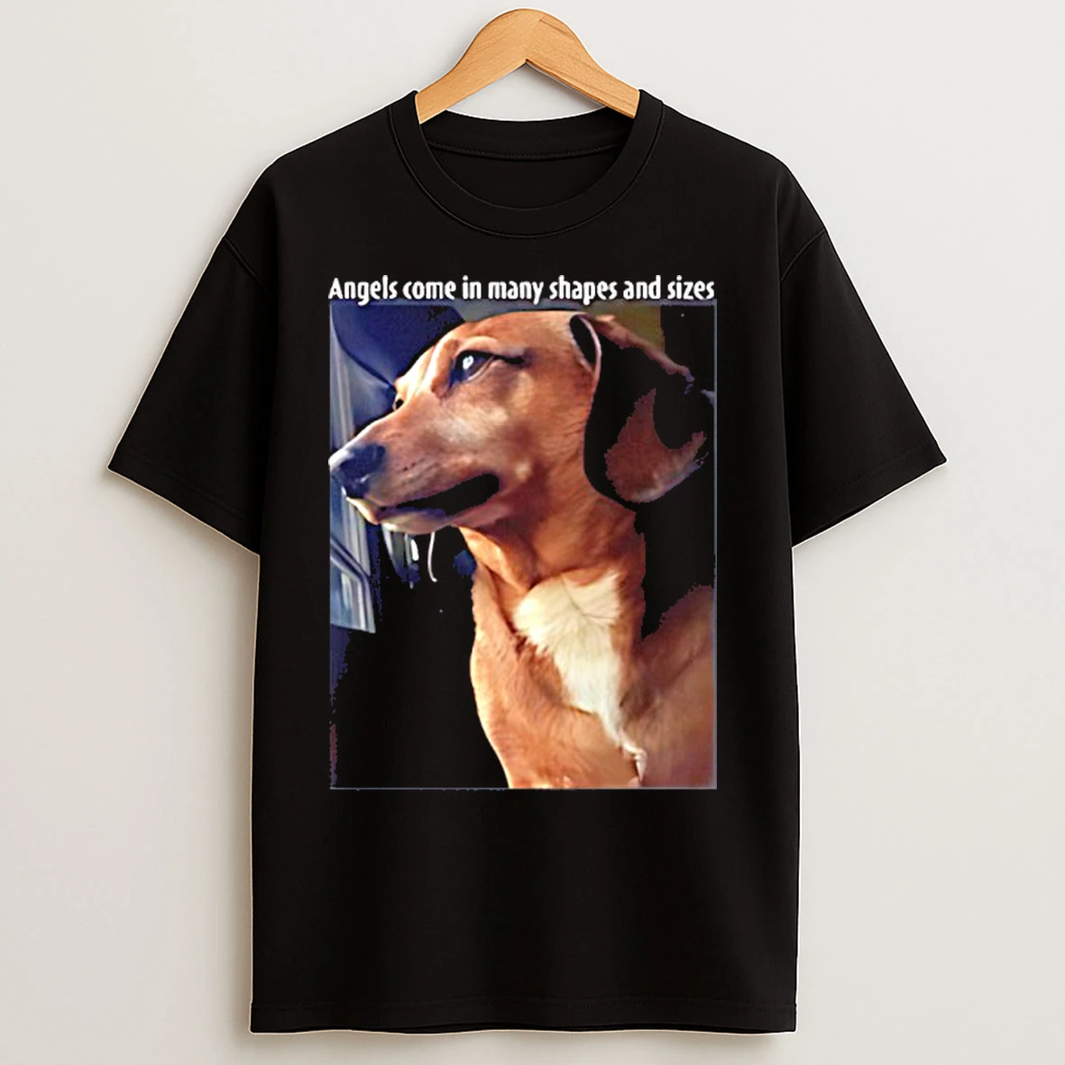 Classic Mark Pellegrino Angels Come In Many Shapes And Sizes Dog T Shirts