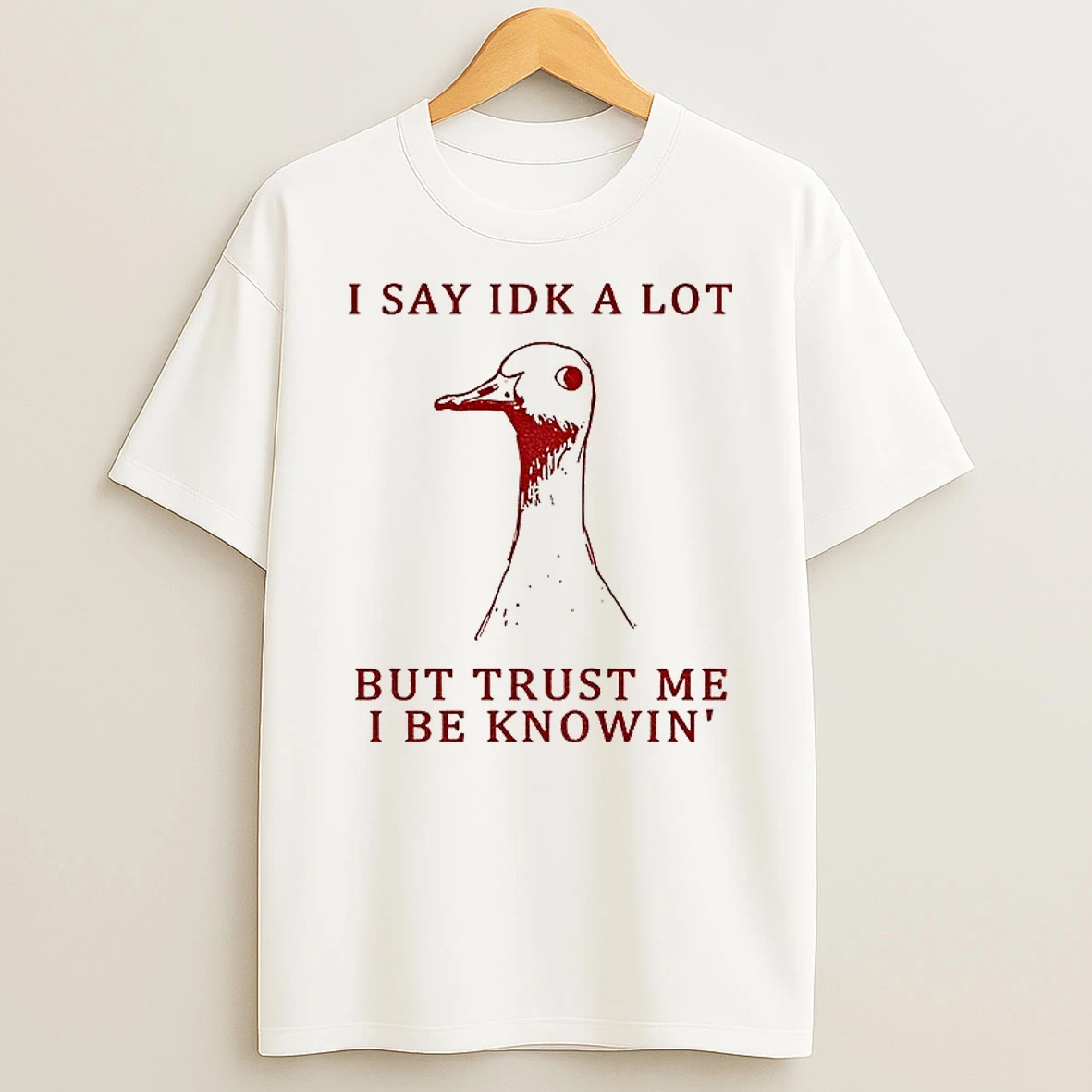 Classic Silly Goose Understands Everything I Say Idk A Lot But Trust Me I Be Knowin T Shirts