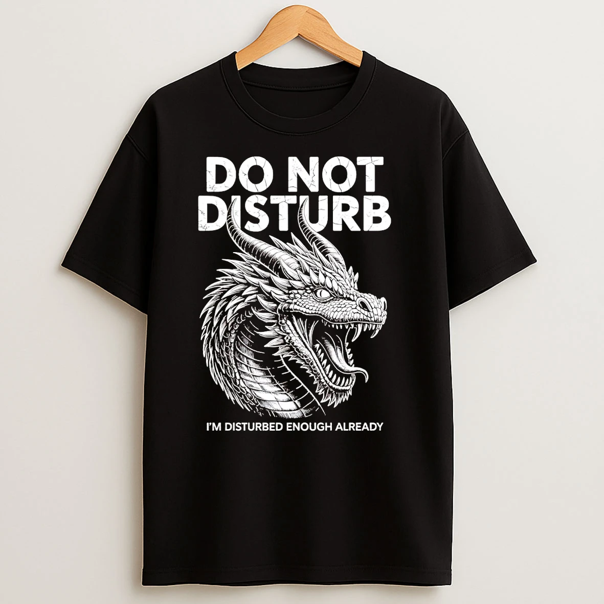 Dragon Do Not Disturb Im Disturbed Enough Already T Shirts
