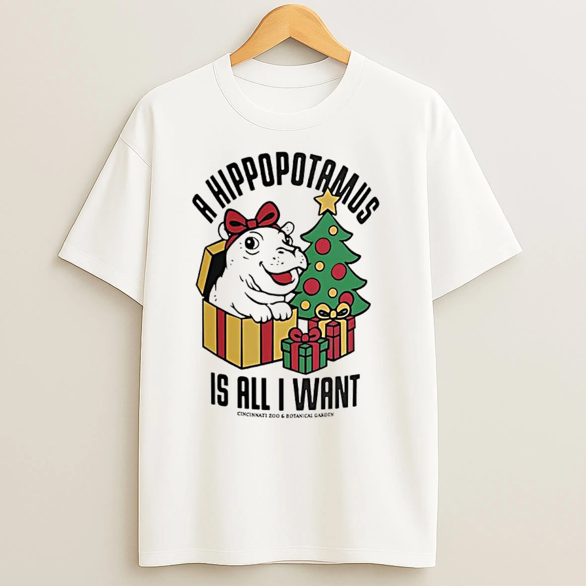 Fiona Christmas A Hippopotamus Is All I Want T Shirts