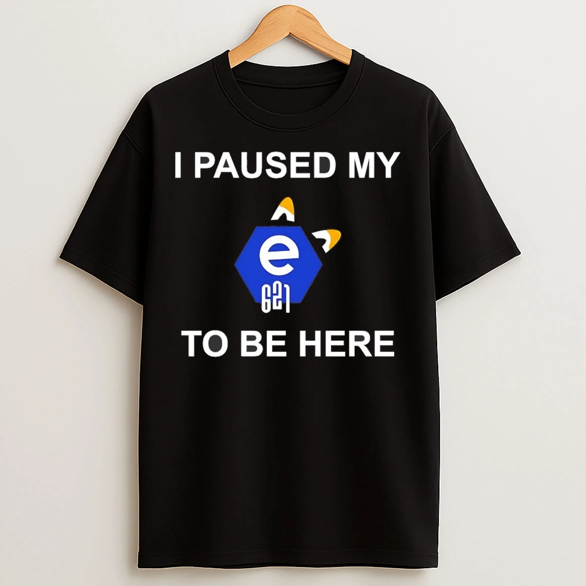 I Paused My E621 To Be Here T Shirts