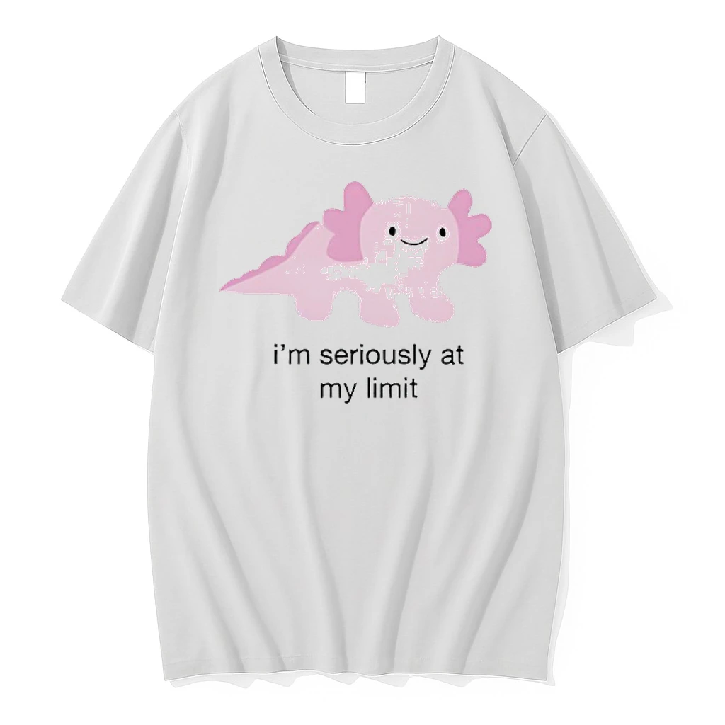 Im Seriously At My Limit Shirts