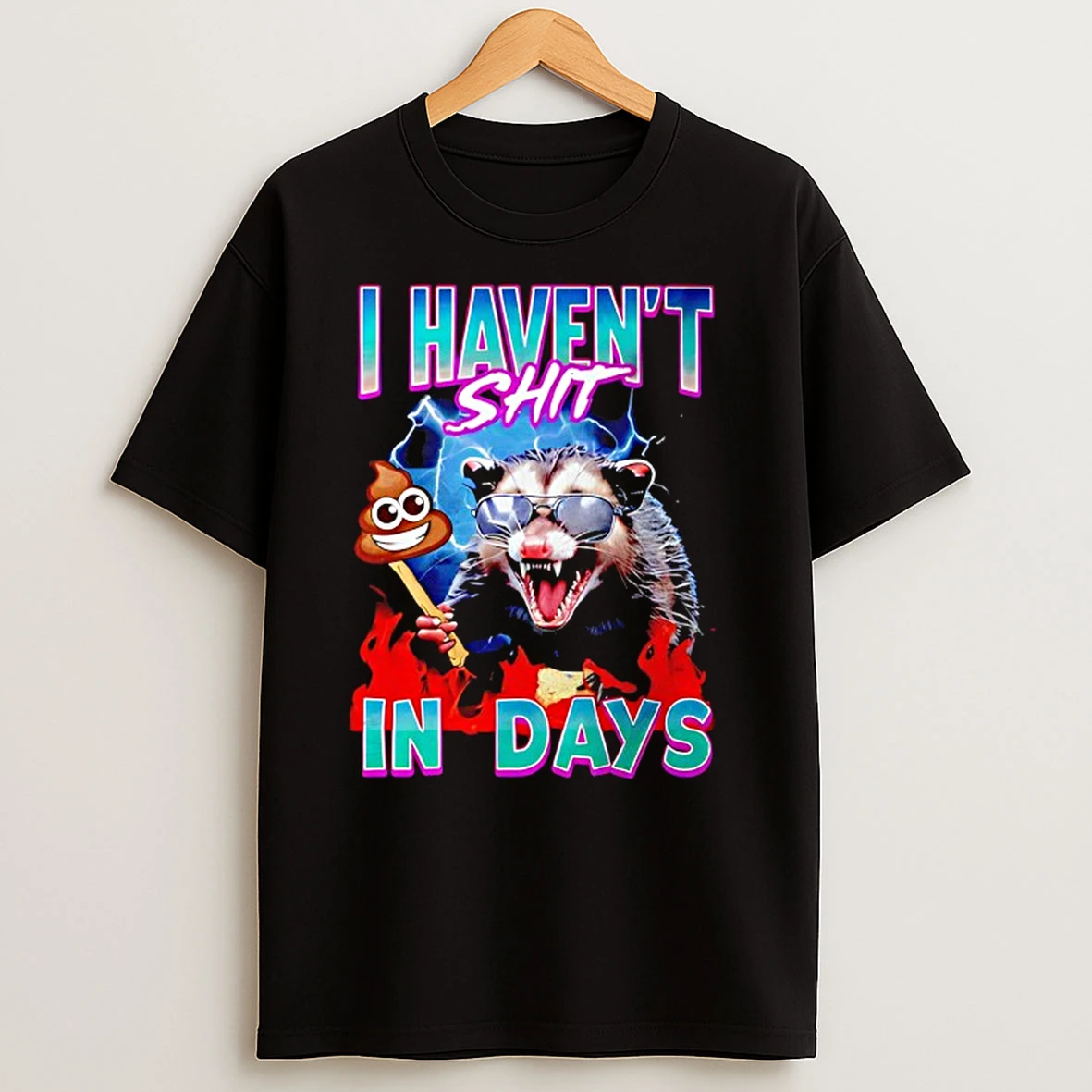 Opossum I Havent Shit In Days T Shirts