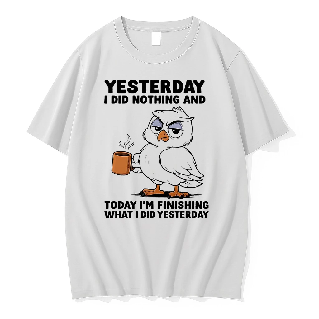 Owl Yesterday I Did Nothing Today Im Finishing What I Did Yesterday Shirts