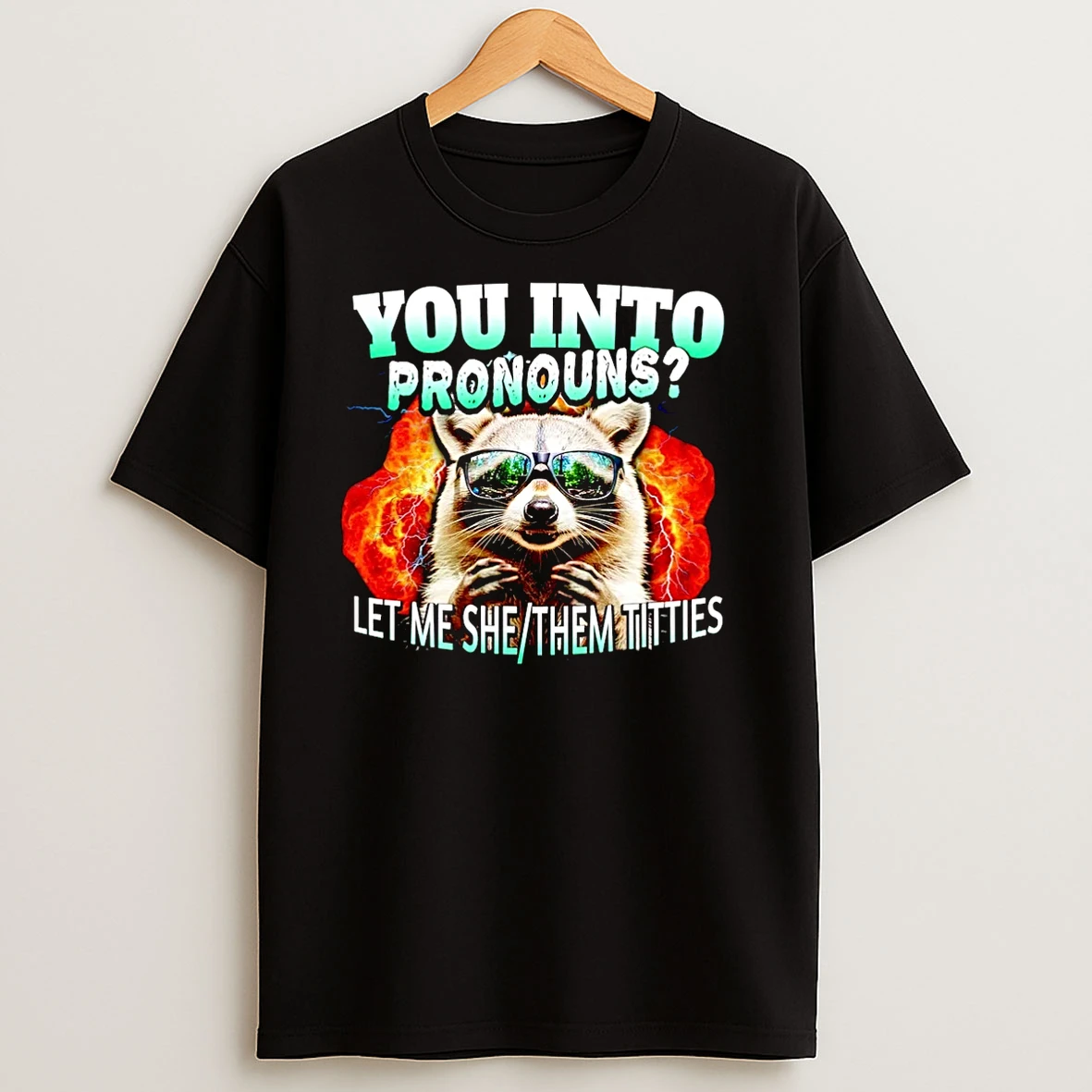 Raccoon You Into Pronouns Let Me She Them Tities Christmas T Shirts