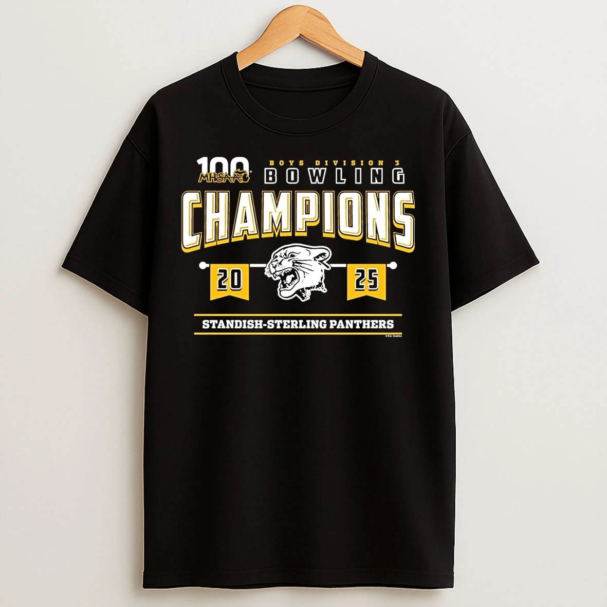 Standish Sterling Panthers 2025 Boys Bowling D3 Champions T Shirts