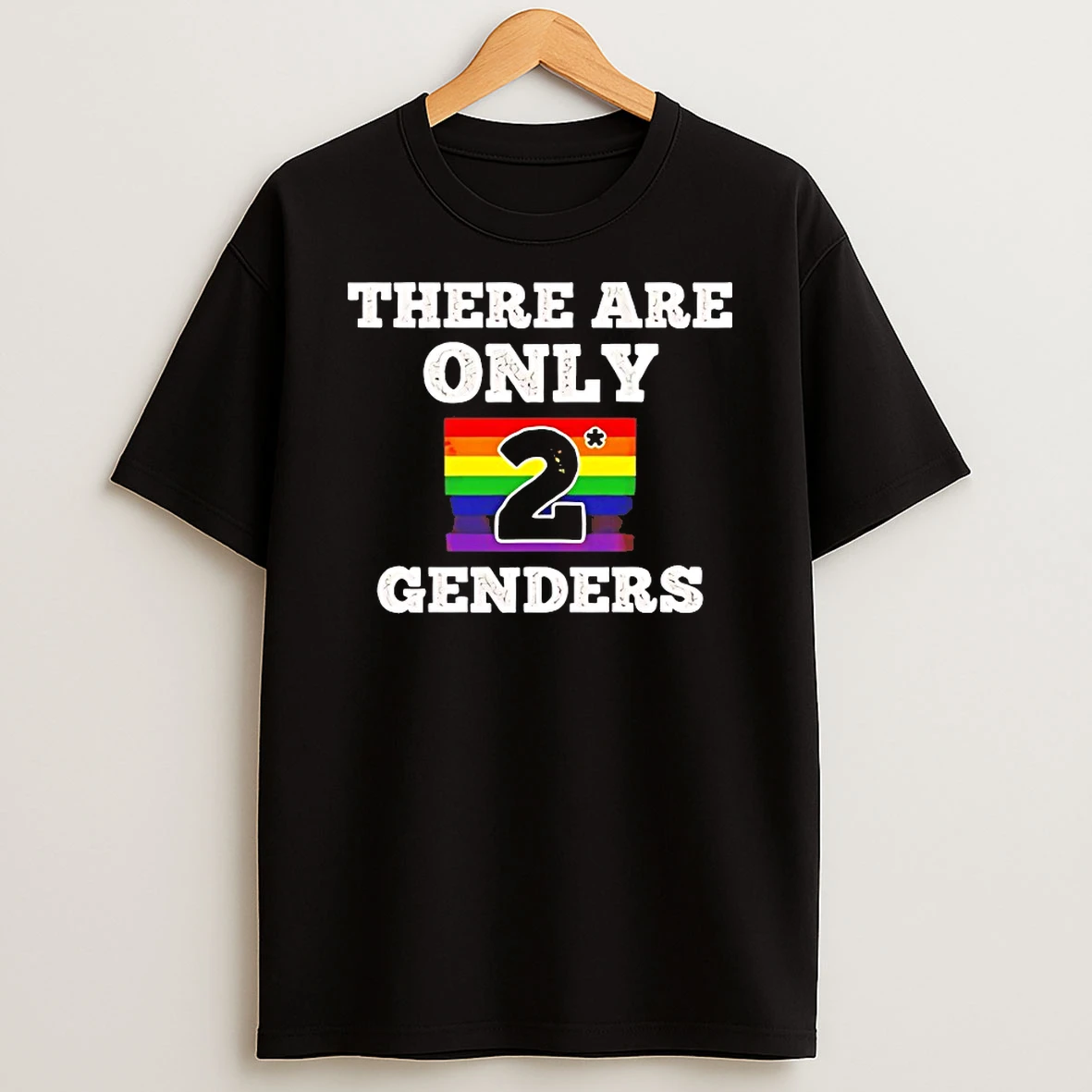 There Are Only 2 Genders Lgbt Flag Shirts