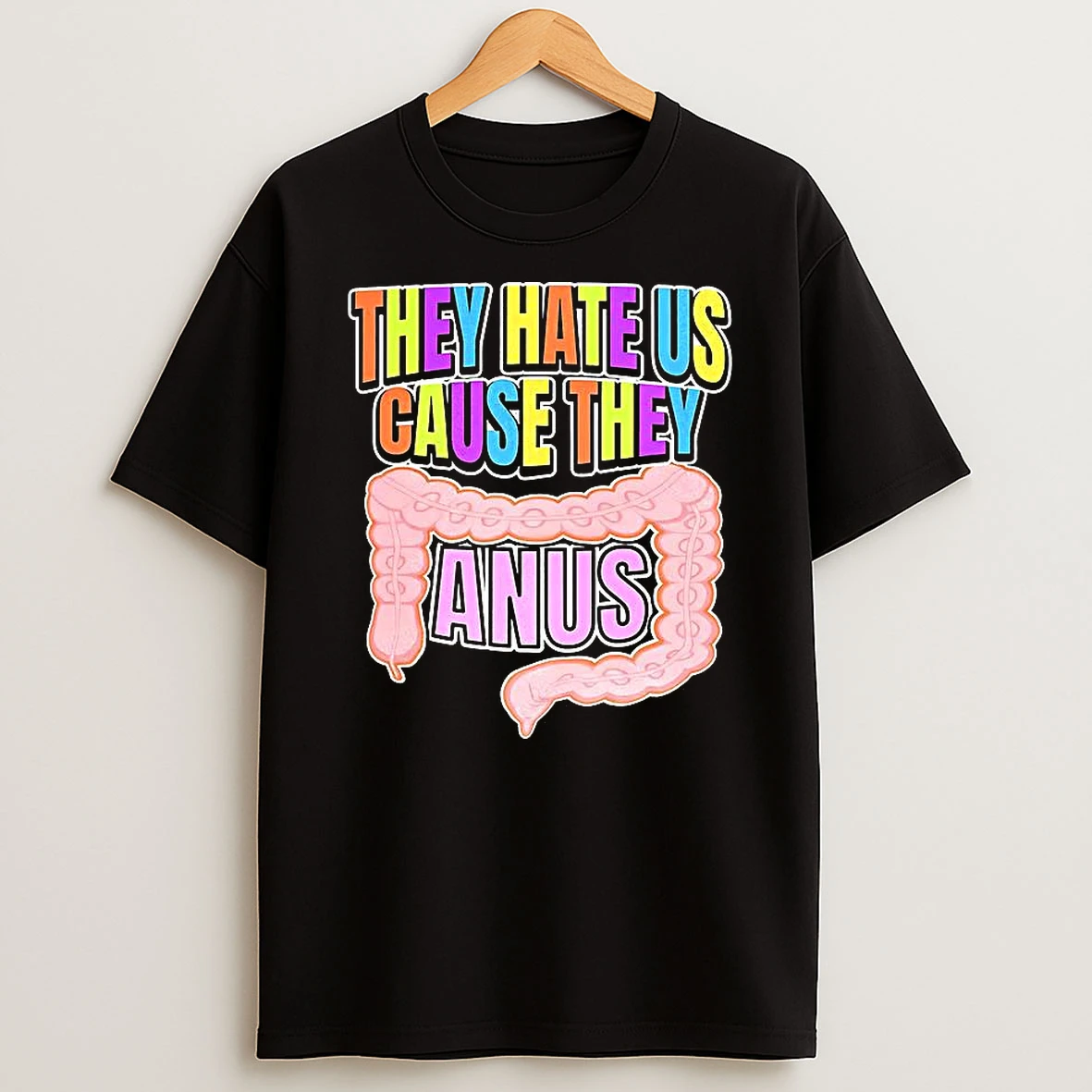 They Hate Us Cause They Anus Large Intestine Funny Shirts