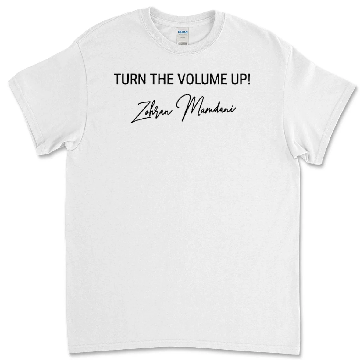 Turn The Volume Up Zohran Mamdani Nyc Mayor Premium Shirt Sweater