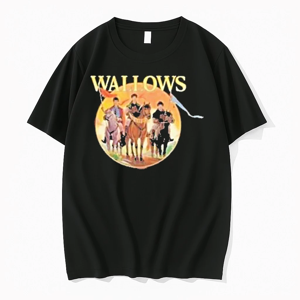 Wallows X Catan Tour 2025 Shirts