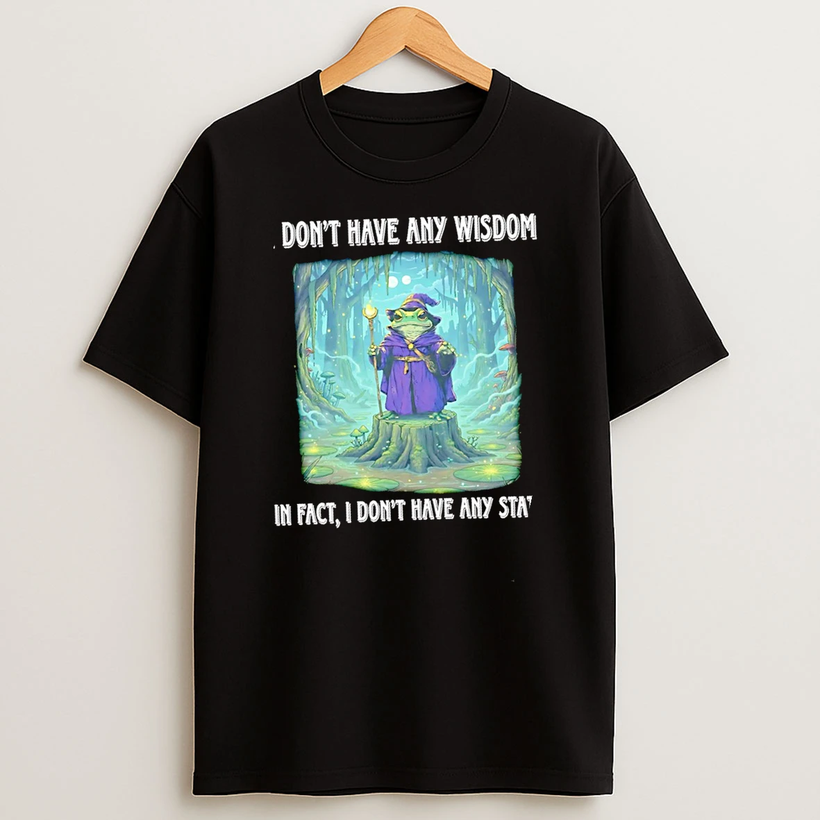 Wizard Frog I Dont Have Any Wisdom In Fact I Dont Have Any Stats Shirts