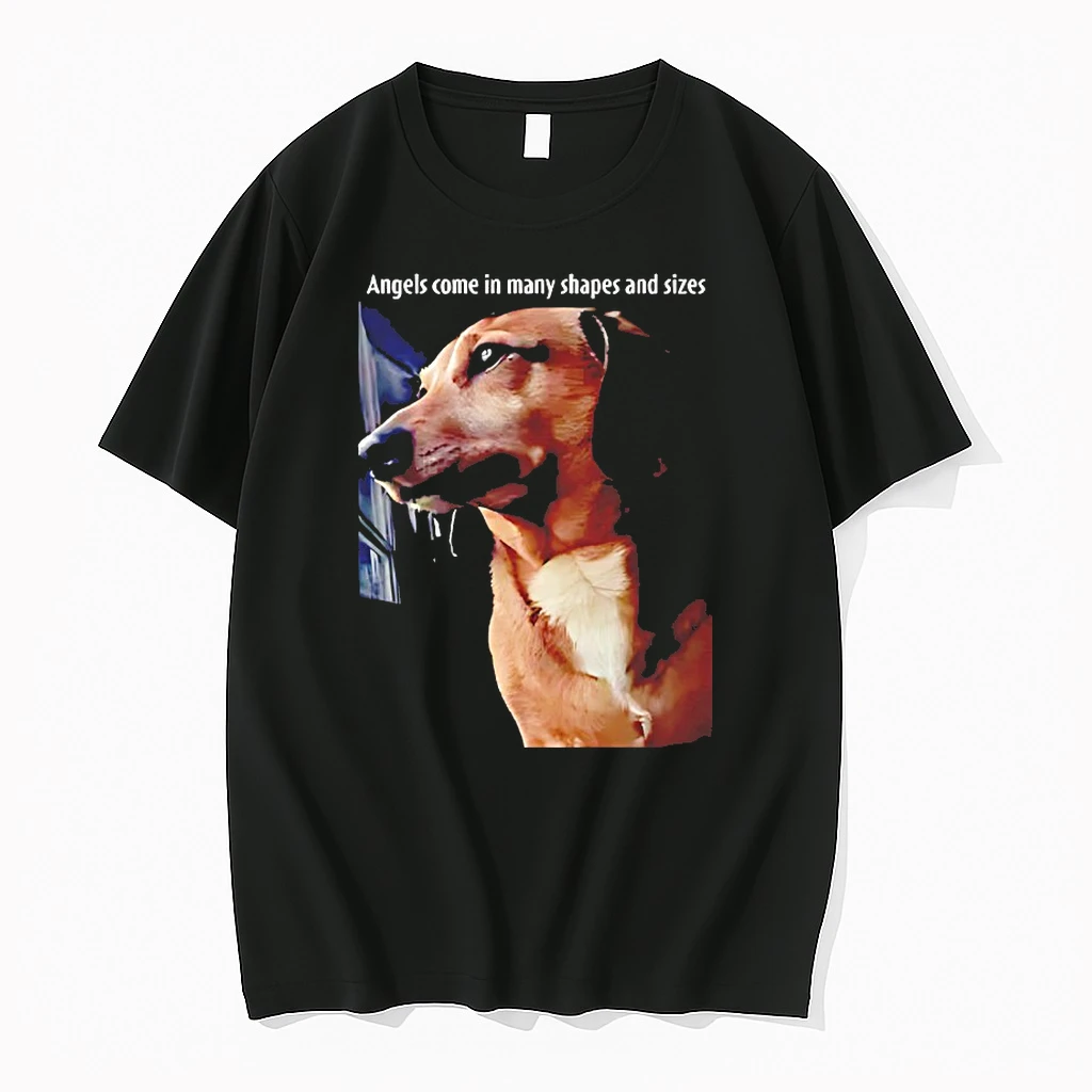 Angels Come In Many Shapes And Sizes Frankie Shirts